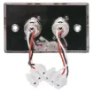 3 Pin Horizontal Mount Stainless Steel Plates with 2 x XLR skts