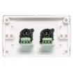 Dual 3pin XLR microphone connectors mounted horizontally on a dual face wall plate. &quotOne-Shot&quot version with screw terminal connections for quick and easy connection on site.