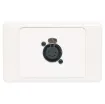 5pin XLR microphone connector mounted horizontally on a dual face wall plate. &quotOne-Shot&quot versions with screw terminal connections for quick and easy connection on site.