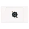 4 pin Neutrik Speakon connector mounted horizontally on a wall plate.