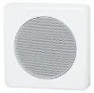 This cabinet is designed to withstand the physical abuse of vandals. Access to the 130mm dual cone speaker requires the use of an allen key, minimising unauthorised tampering and/or theft. Features multiple conduit entries. Suitable for use in prisons, tr