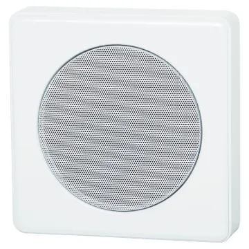 This cabinet is designed to withstand the physical abuse of vandals. Access to the 130mm dual cone speaker requires the use of an allen key, minimising unauthorised tampering and/or theft. Features multiple conduit entries. Suitable for use in prisons, tr