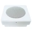This cabinet is designed to withstand the physical abuse of vandals. Access to the 130mm dual cone speaker requires the use of an allen key, minimising unauthorised tampering and/or theft. Features multiple conduit entries. Suitable for use in prisons, tr