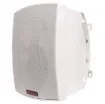 These wall mount music speakers feature exceptional sound quality for both domestic  and commercial applications and PA sound reinforcement.
