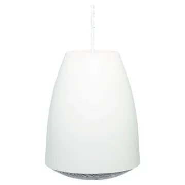 Designed for use where traditional ceiling mounted speakers are difficult or impractical to install. Used in such areas as very high raked, suspended, concrete, or exposed ceilings.