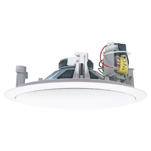 These stylish, high performance, architecturally unobtrusive speaker/grill combinations can be painted to match decor. Super easy to install with a 'Flip-Lock' mounting system. Typical applications include medical centres, shopping malls, restaurants, bou