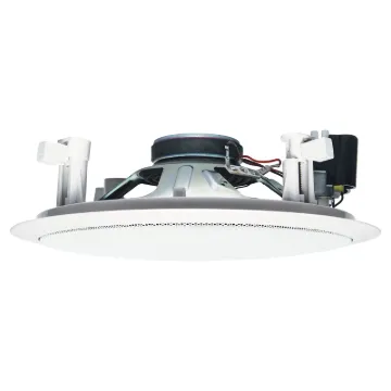 C 2127 is a 200mm (8&quot) dual cone speaker fitted with a 5W  transformer.