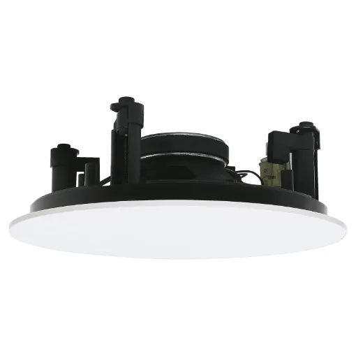 The C2186 is a 165mm (6.5") dual cone speaker with a 5W transformer.