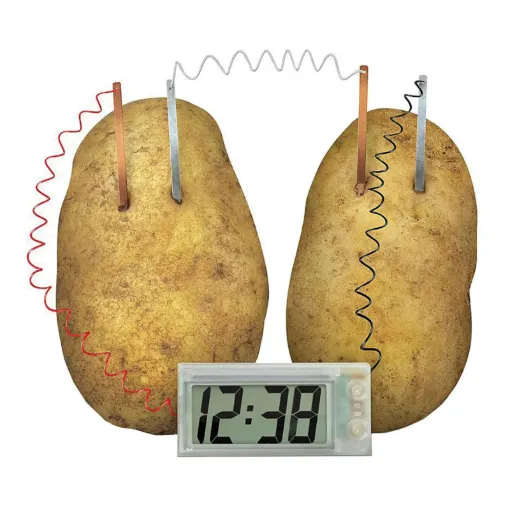 Educational project kit for constructing a clock powered from a potato