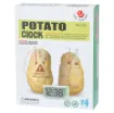 Educational project kit for constructing a clock powered from a potato