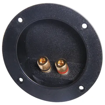 Recessed Terminals.  Gold plated screw cap posts will accept banana plugs or stripped wire.