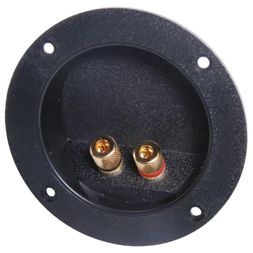 Recessed Terminals.  Gold plated screw cap posts will accept banana plugs or stripped wire.