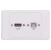 Flylead Wallplate fitted with HDMI and USB Type B.