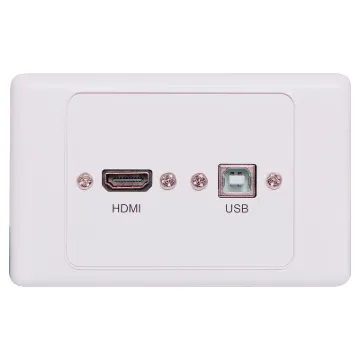 Flylead Wallplate fitted with HDMI and USB Type B.