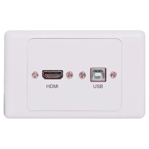 Flylead Wallplate fitted with HDMI and USB Type B.