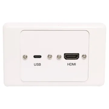 Flylead wallplate fitted with HDMI and USB Type C.