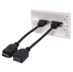 Flylead wallplate fitted with HDMI and USB Type C.