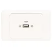Flylead Wallplate fitted with USB 2.0 connection Type A.