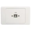 USB Type B wallplate Rear is fitted with 150mm fly lead and USB Type A plug for easy connection.