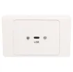 Flylead wallplate fitted with USB Type C.
