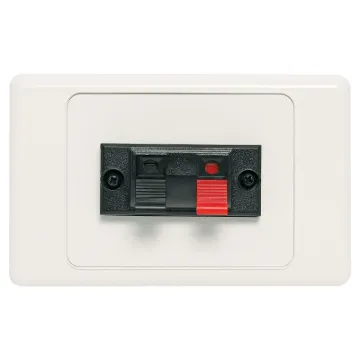 Single spring terminal for speaker connection.