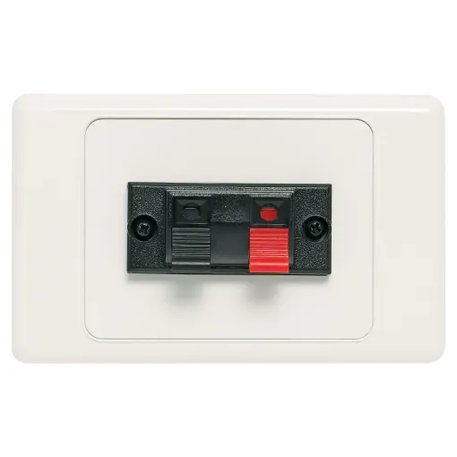 Single spring terminal for speaker connection.