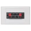 Dual spring terminal for speaker connection.