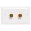 Plastic wallplate fitted with gold plated binding posts for speaker connect points.