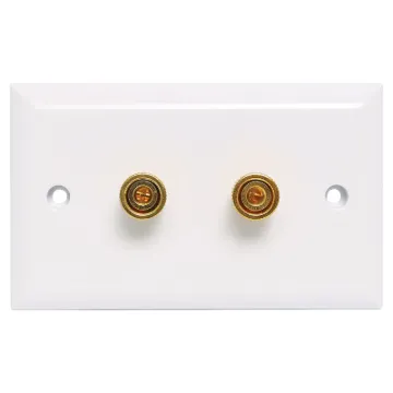 Plastic wallplate fitted with gold plated binding posts for speaker connect points.