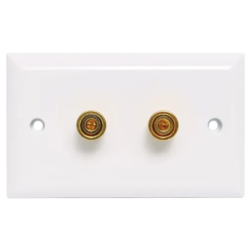 Plastic wallplate fitted with gold plated binding posts for speaker connect points.