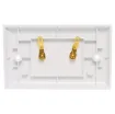 Plastic wallplate fitted with gold plated binding posts for speaker connect points.
