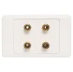 Wall plate with high quality gold plated binding posts.Accepts either banana plugs or bare wire.