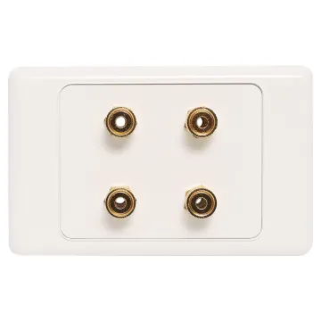 Wall plate with high quality gold plated binding posts.Accepts either banana plugs or bare wire.