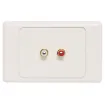 Quality Pro series wall plates with gold plated RCA sockets.