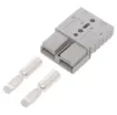 Anderson style grey 120A DC power connector.