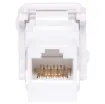 Cat6A ''back to back'' mechanism fro use with pre-terminated or off the shelf cables.  Wall jack will suit commonly used Clipsal data wall plates.