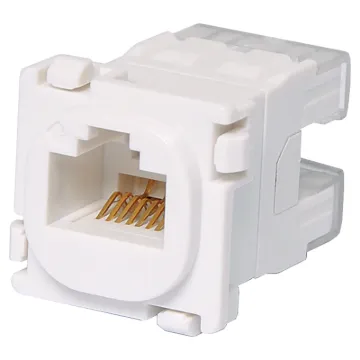 A Cat6A mechanism to suit Clipsal wallplates (Note: not Clipsal brand). 
Features punchdown terminals on rear for connection. 8P8C socket.