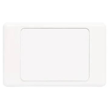 Altronics Blank Electrical Wallplate