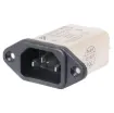 6A 240VAC with EMI Filter. 6.3mm lugs.