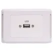 USB type A connections fitted to a Clipsal Pro Series wall plate which has been specifically designed for commercial building installations. Rear is fitted with 150mm fly lead with a USB type A socket for easy connection.