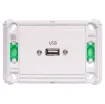 USB type A connections fitted to a Clipsal Pro Series wall plate which has been specifically designed for commercial building installations. Rear is fitted with 150mm fly lead with a USB type A socket for easy connection.