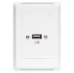 USB type A connections fitted to a Clipsal Pro Series wall plate which has been specifically designed for commercial building installations. Rear is fitted with 150mm fly lead with a USB type A socket for easy connection.