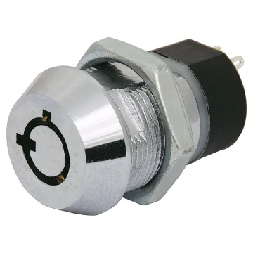 Standard. DPST. Radial type  tumbler mechanism. Silver plated contacts and terminals. Rated at 2A @ 250V AC.  Key removable in both positions. Supplied with two keys. Four terminals.   Overall depth with key inserted 69mm, including terminals.
Blank Key