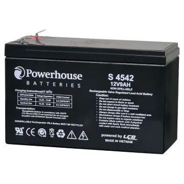 This 12V 9Ah sealed lead acid (SLA) battery is one of the most common size SLA batteries in use.