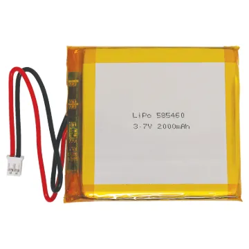Polymer Lithium Ion batteries offer superior energy density. 
With a cell voltage of 3.7 Volts, these batteries are perfect for microcontrollers and other low power devices, especially when paired with a good DC/DC regulator for logic level output.