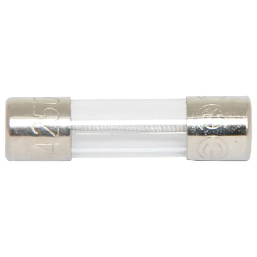 100mA Slow Blow M205 Fuse