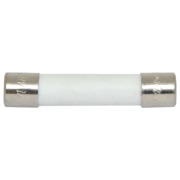 Ceramic fuse. Available in M 205 and 3AG sizes. Used in many appliances. These are sold in singles.