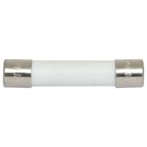 Ceramic fuse. Available in M 205 and 3AG sizes. Used in many appliances. These are sold in singles.