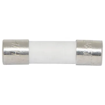 Ceramic fuse. Available in M 205 and 3AG sizes. Used in many appliances. These are sold in singles.