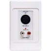 This XLR/RCA wallplate features a built-in Dante interface for easy audio input over Cat5e/6/7. Ideal for large venues, it connects mics or players directly to PA systems and fits Altronics dual cover plates.
